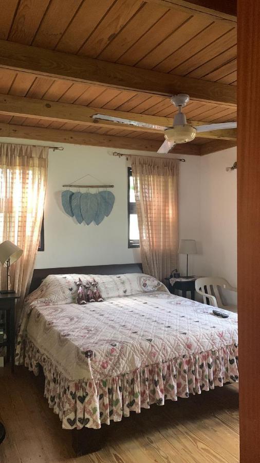 Manaya Bed & Breakfast プンタ・カナ エクステリア 写真